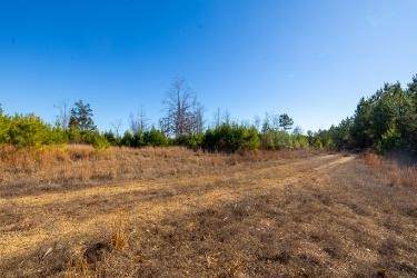 0 White Oak Rd - Photo 1