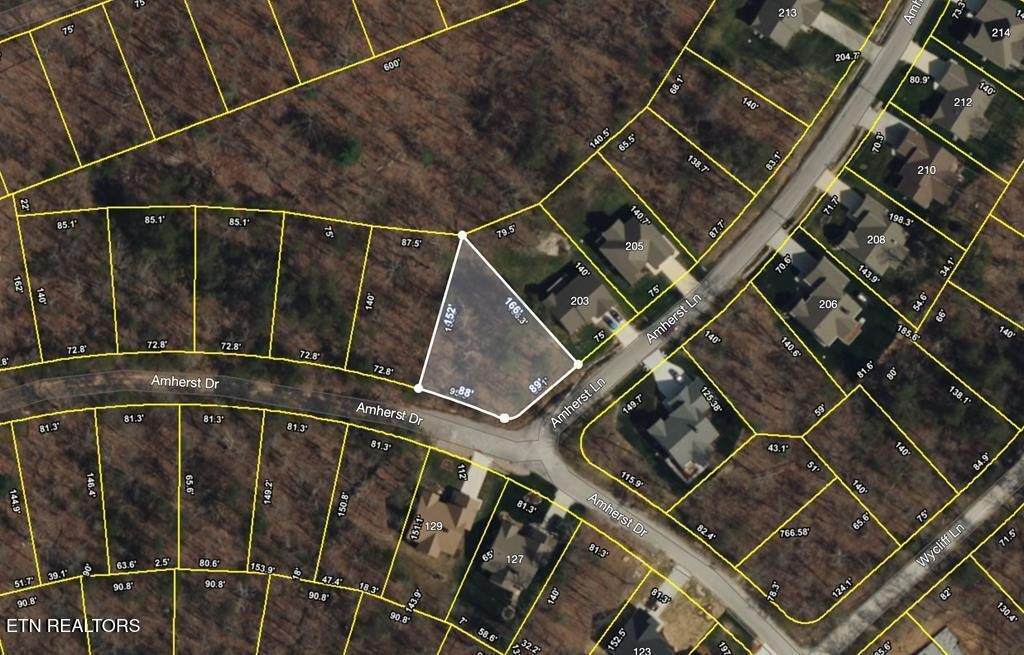 201 Amherst Lane - Photo 1