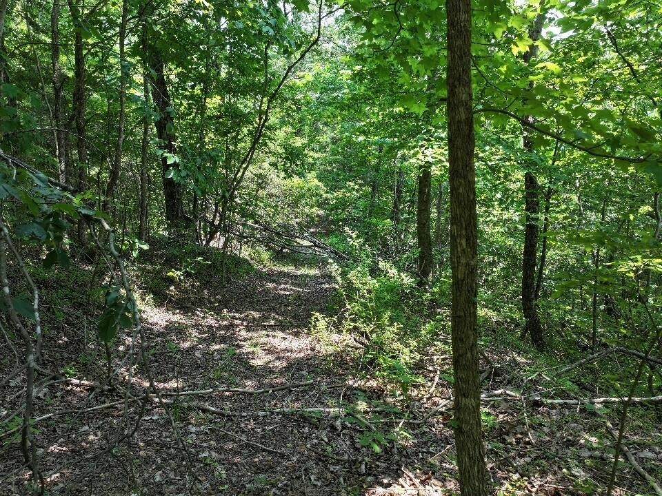0 Cherry Ln - Photo 1