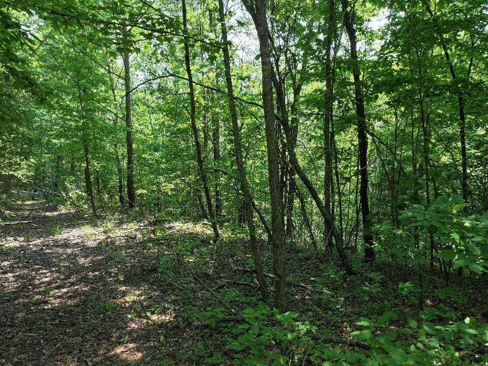 https://bt-photos.global.ssl.fastly.net/nashville/orig_boomver_1_RTC3135280-1.jpg