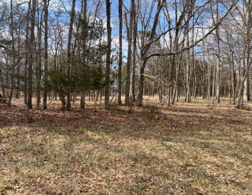 0 Nashville Hwy - Photo 1