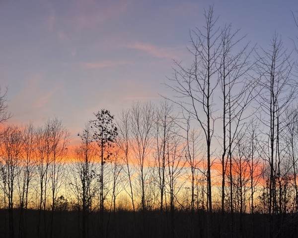 https://bt-photos.global.ssl.fastly.net/nashville/orig_boomver_1_RTC3136048-1.jpg