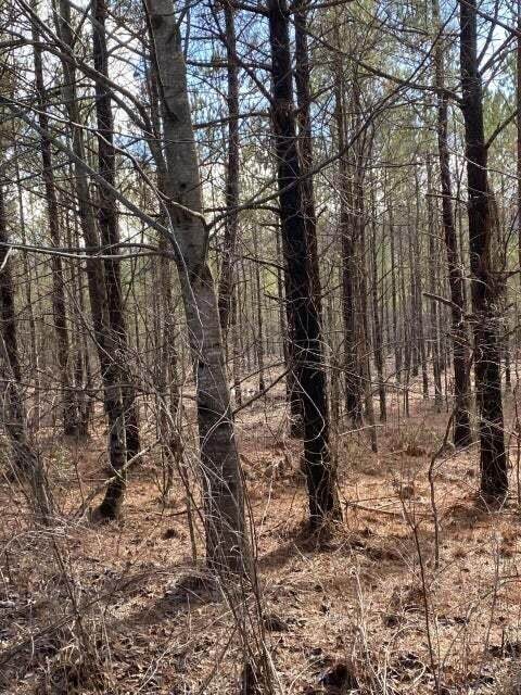 3 Thomas Springs Road - Photo 1