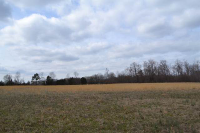 https://bt-photos.global.ssl.fastly.net/nashville/orig_boomver_1_RTC3136402-1.jpg