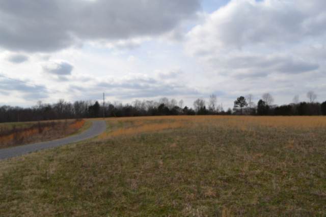 https://bt-photos.global.ssl.fastly.net/nashville/orig_boomver_1_RTC3136402-1.jpg