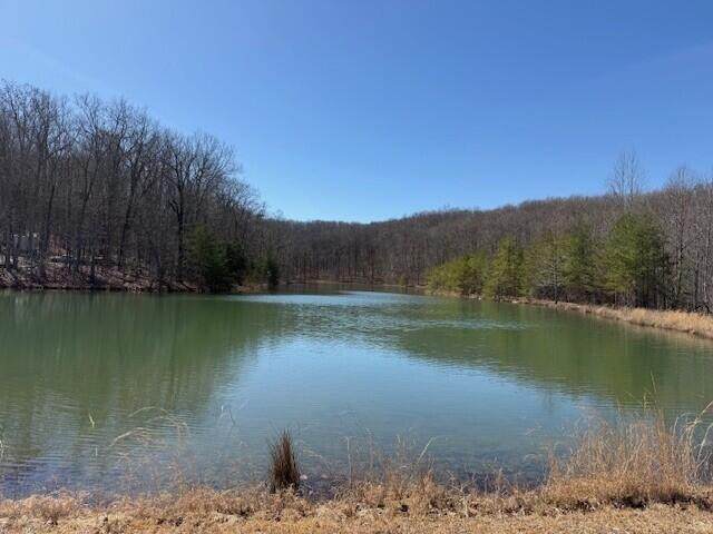 71 Sunbeam Lake Loop Road - Photo 1