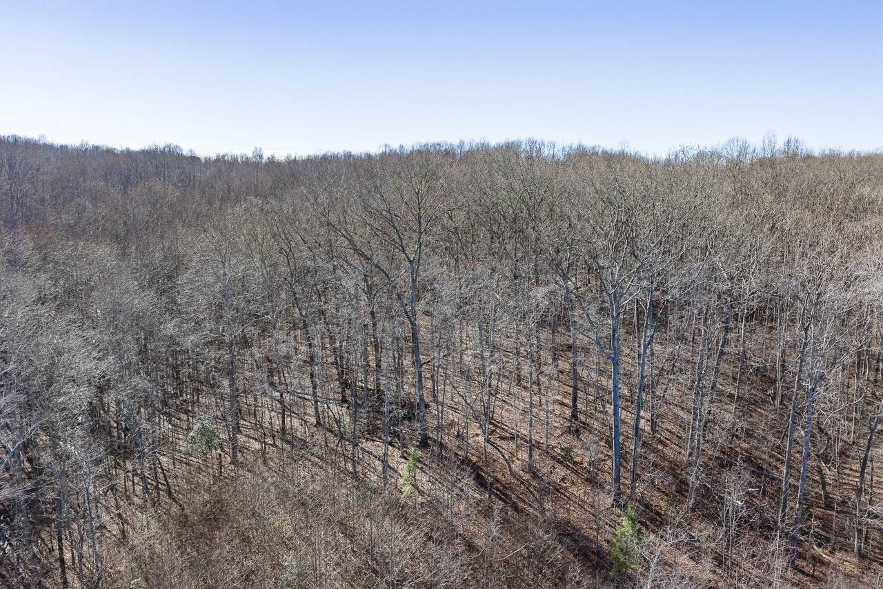 0 Old Altamont Rd - Photo 1