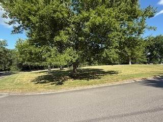 https://bt-photos.global.ssl.fastly.net/nashville/orig_boomver_1_RTC3137402-1.jpg