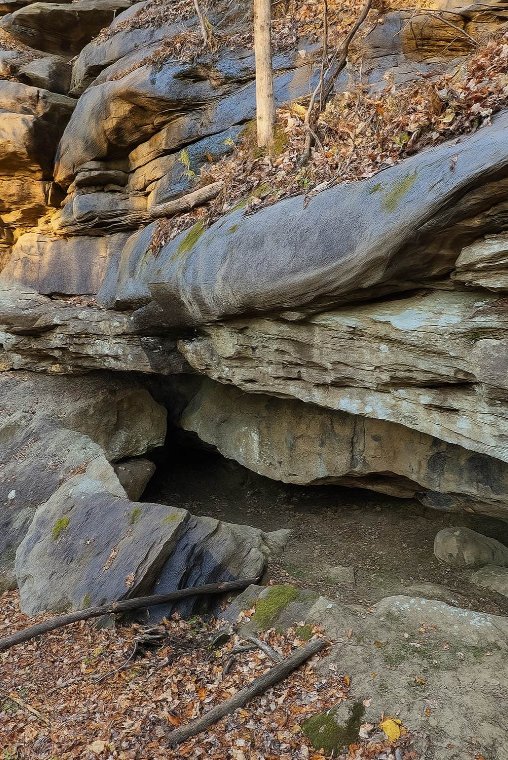 https://bt-photos.global.ssl.fastly.net/nashville/1280_boomver_1_RTC3137759-1.jpg