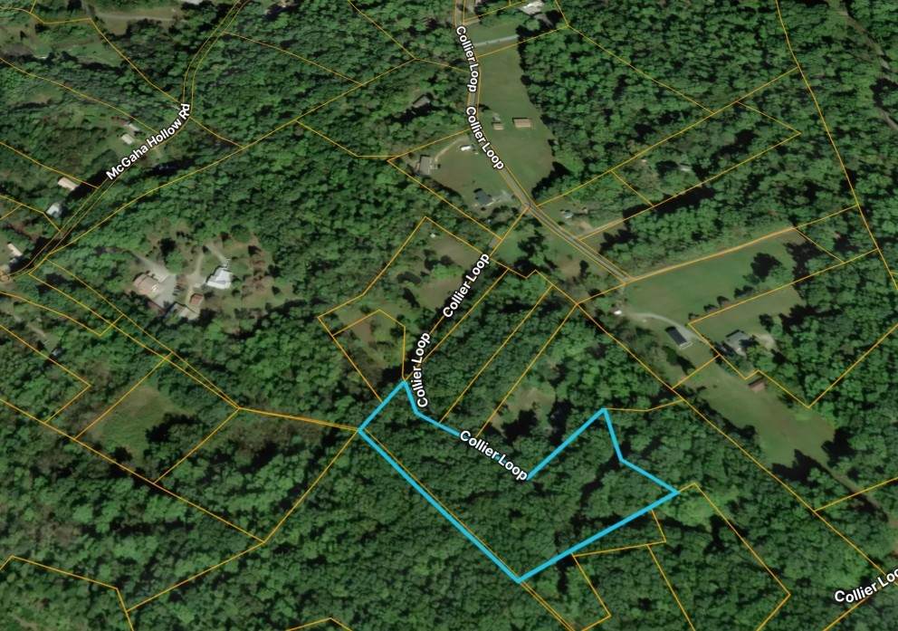 1419 Collier Loop - Photo 1