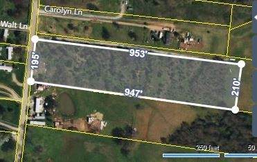 1072 Disneyland Rd - Photo 1