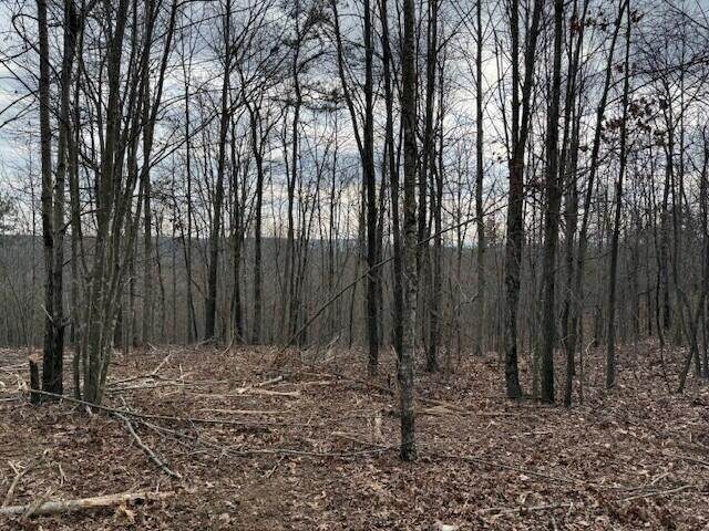 11 South Pittsburg Mountain Road - Photo 1