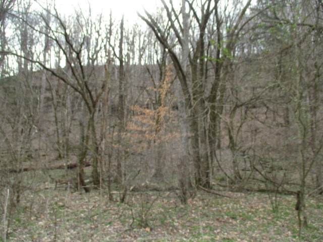 0 Rogues Fork Creek Road - Photo 1