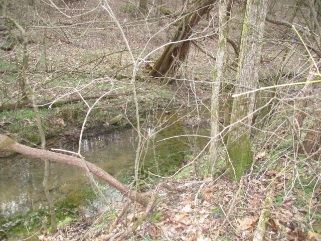 https://bt-photos.global.ssl.fastly.net/nashville/orig_boomver_1_RTC3145227-1.jpg