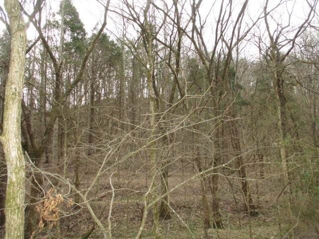 https://bt-photos.global.ssl.fastly.net/nashville/orig_boomver_1_RTC3145227-1.jpg