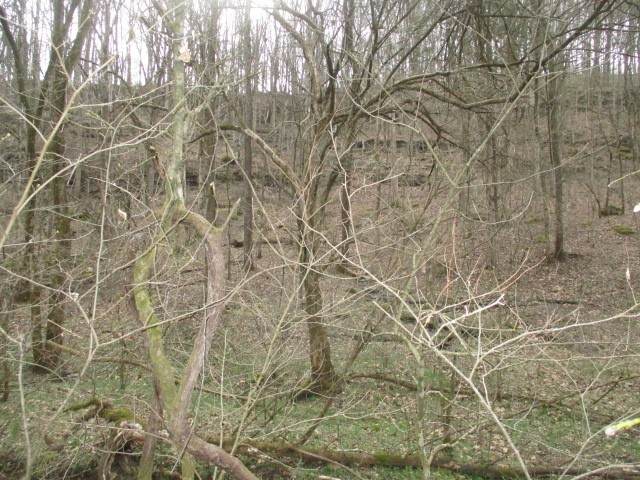 https://bt-photos.global.ssl.fastly.net/nashville/orig_boomver_1_RTC3145227-1.jpg