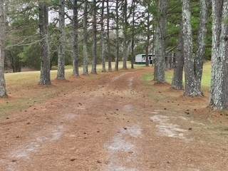 1148 Bear Creek - Photo 1