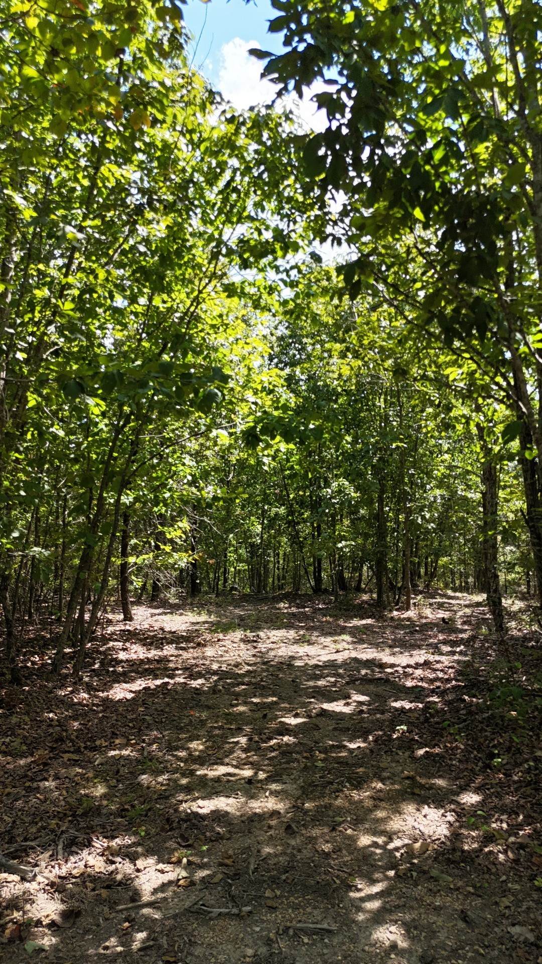 https://bt-photos.global.ssl.fastly.net/nashville/1280_boomver_1_RTC3145866-1.jpg