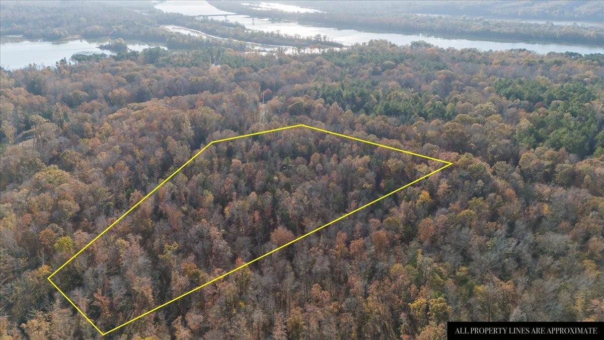 0 Cuba Landing Rd - Photo 1