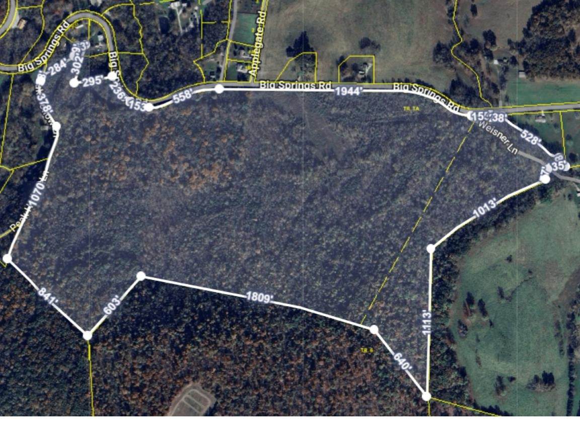 0 Big Springs Road - Photo 1