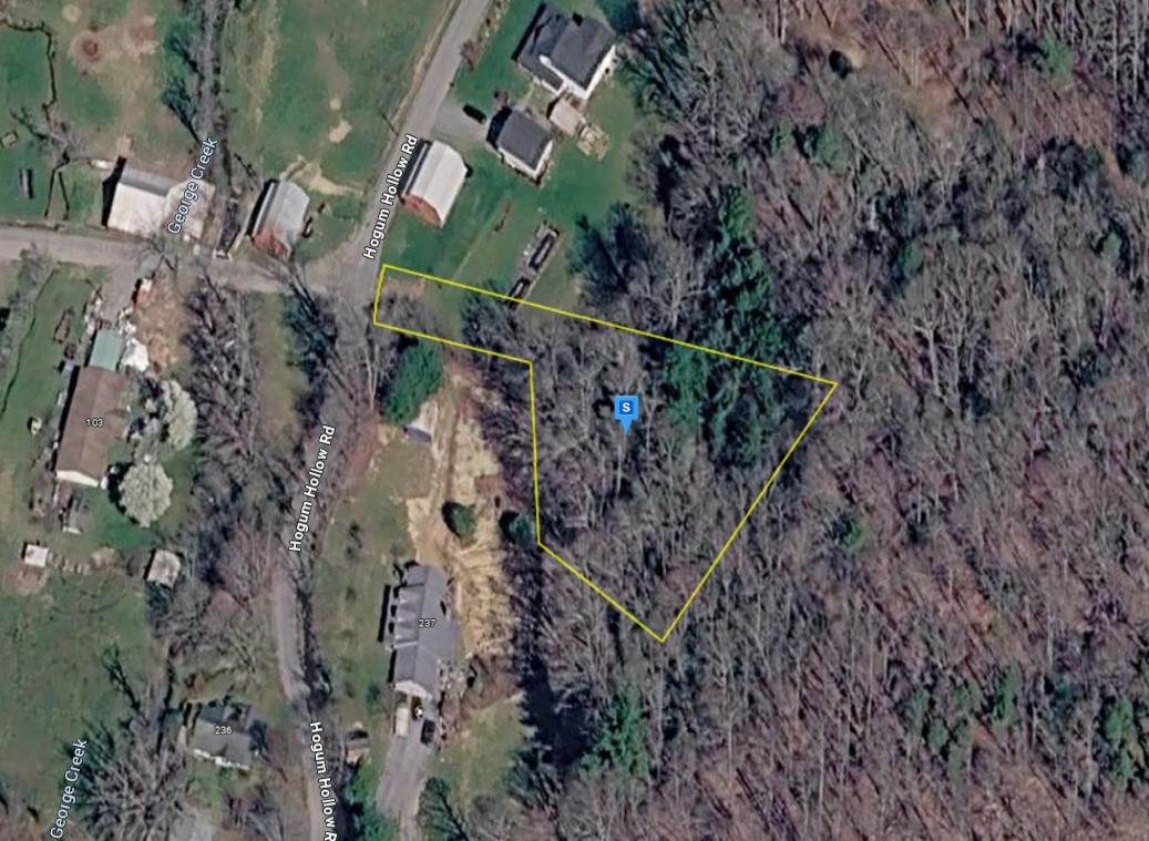 231 Hogum Hollow Rd - Photo 1