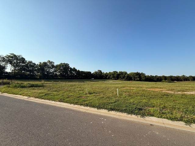 61 Nancy Reagan Dr - Photo 1