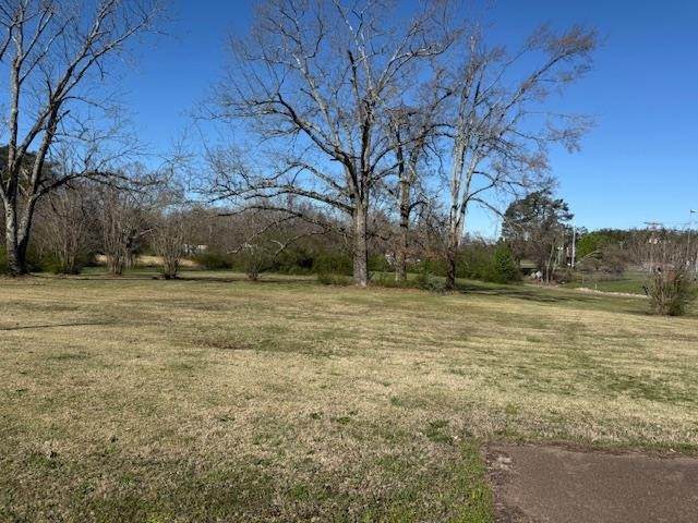 1019 Pickwick St - Photo 1