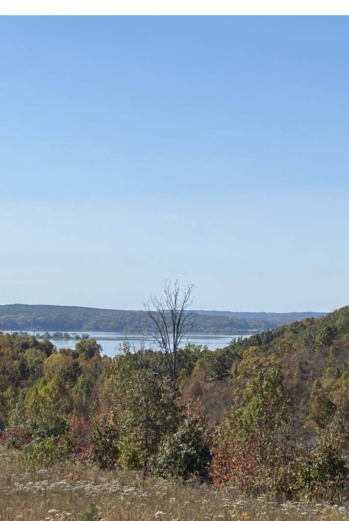 0 Shores Trail - Photo 1