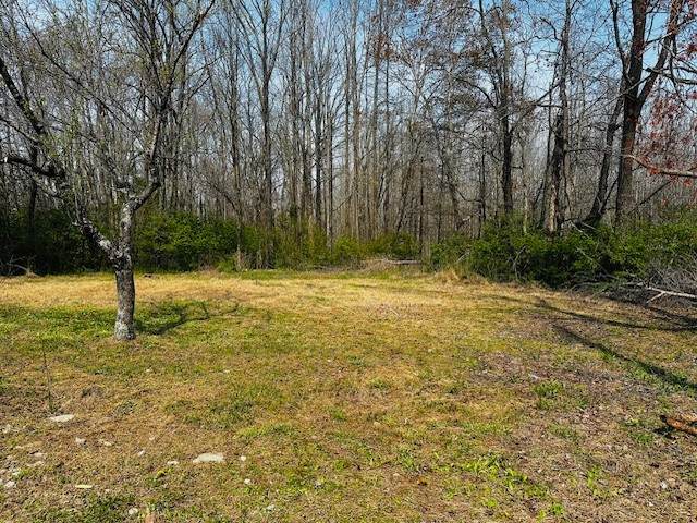 7120 Cobb Cir - Photo 1