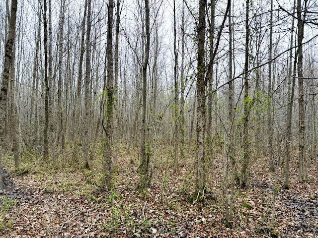 https://bt-photos.global.ssl.fastly.net/nashville/orig_boomver_1_RTC3156377-1.jpg