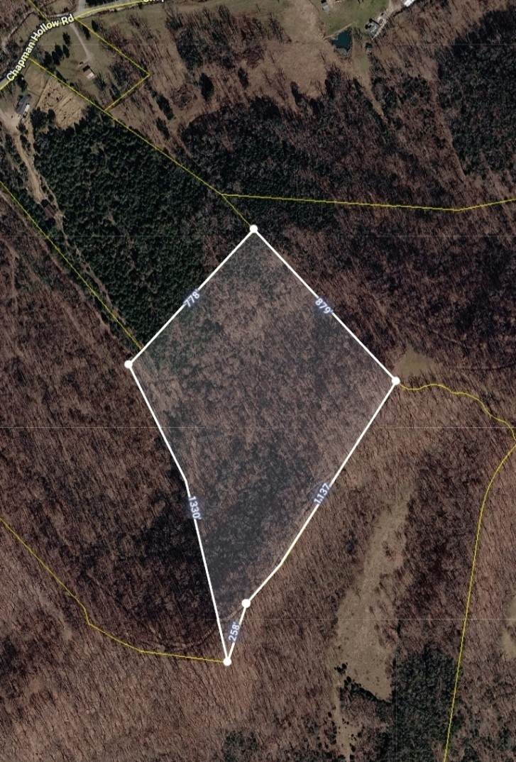 0 Chapman Hollow Rd - Photo 1