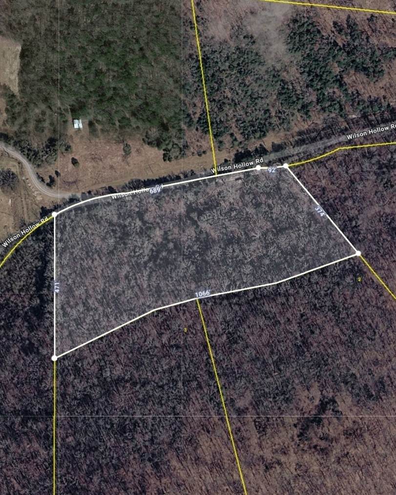 0 Wilson Hollow Rd - Photo 1