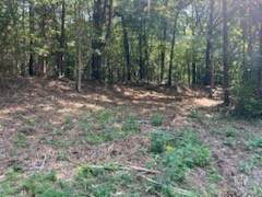 0 Shelter Branch Road - Photo 1
