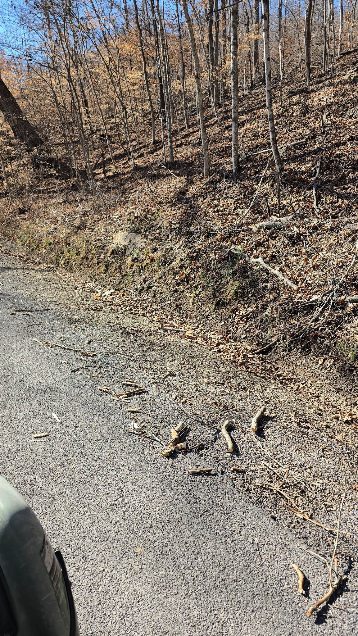 https://bt-photos.global.ssl.fastly.net/nashville/orig_boomver_1_RTC3164040-1.jpg