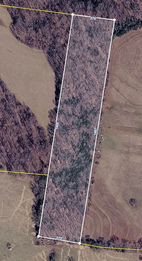 0 Hwy 48 - Photo 1