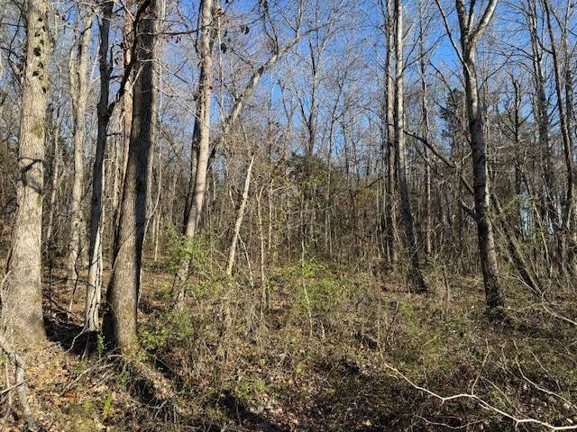 https://bt-photos.global.ssl.fastly.net/nashville/orig_boomver_1_RTC3166383-1.jpg