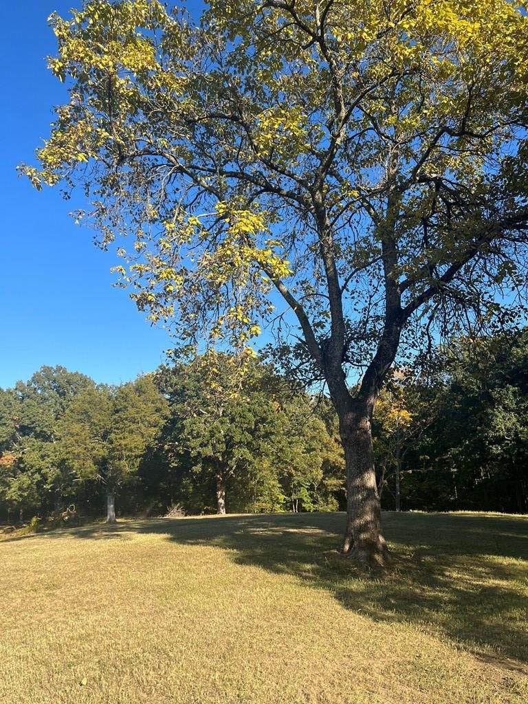 1486 Cedar Grove Rd - Photo 1