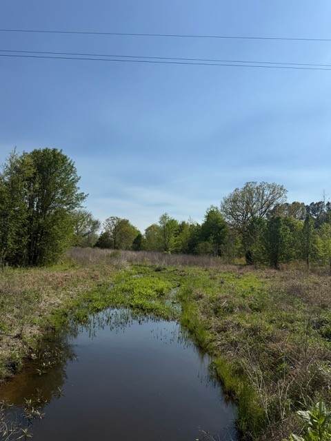 185 Scott Orchard Rd - Photo 1