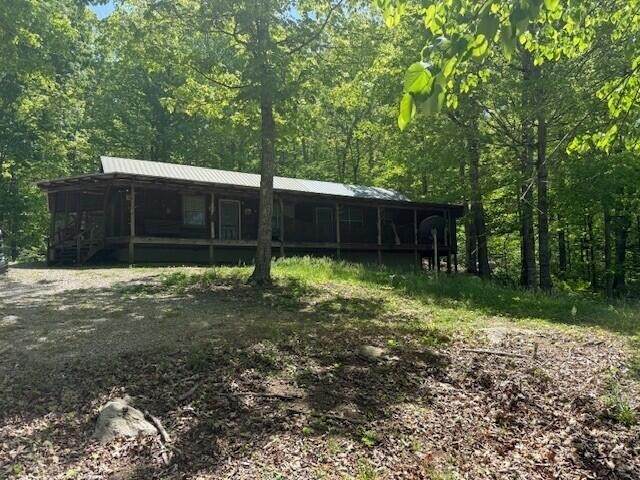 0 Pitts Gap Mtn Road - Photo 1