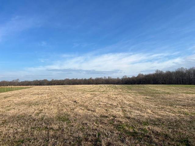 0 Fountain Grove Rd - Photo 1