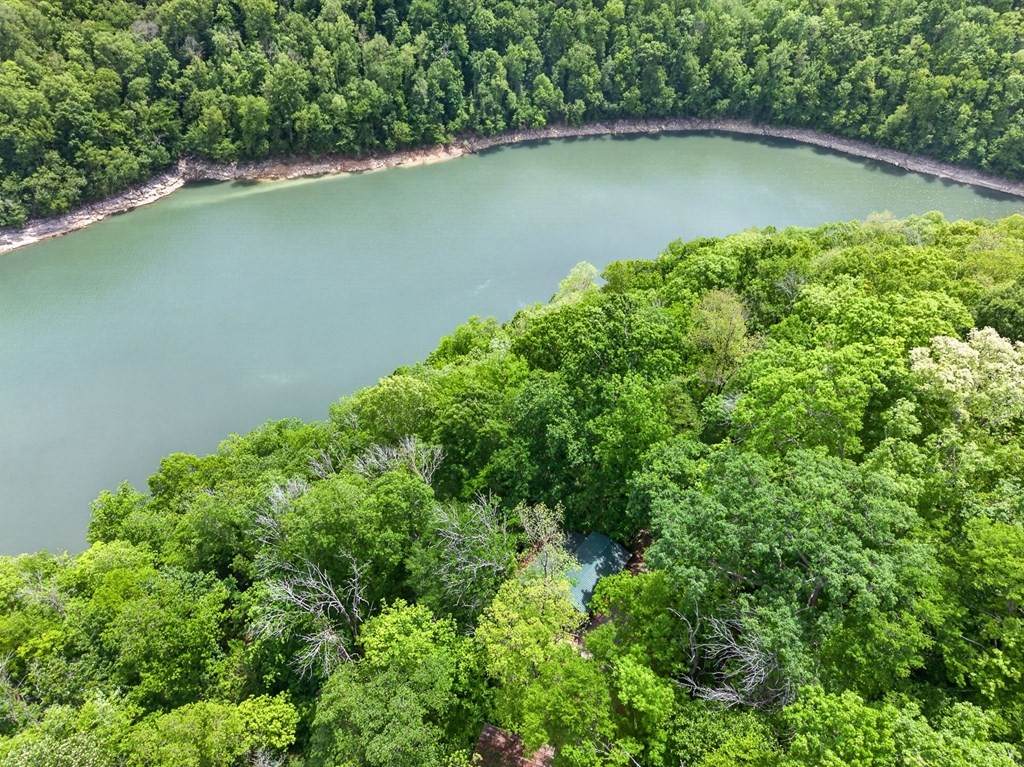 https://bt-photos.global.ssl.fastly.net/nashville/orig_boomver_1_RTC3205995-1.jpg