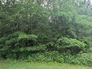 171 Echols Rd - Photo 1