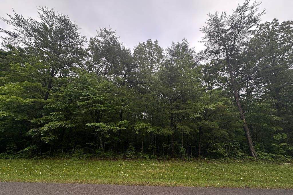 0 Cumberland Lakes Dr - Photo 1