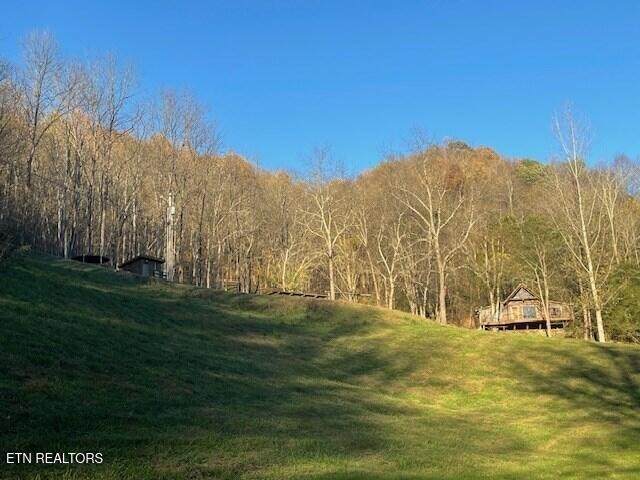 360 Spurlock Hollow Lane - Photo 1