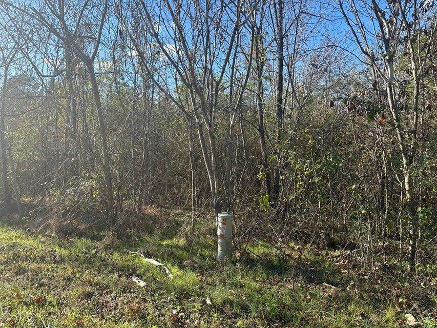 0 Mt Carmel Road - Photo 1