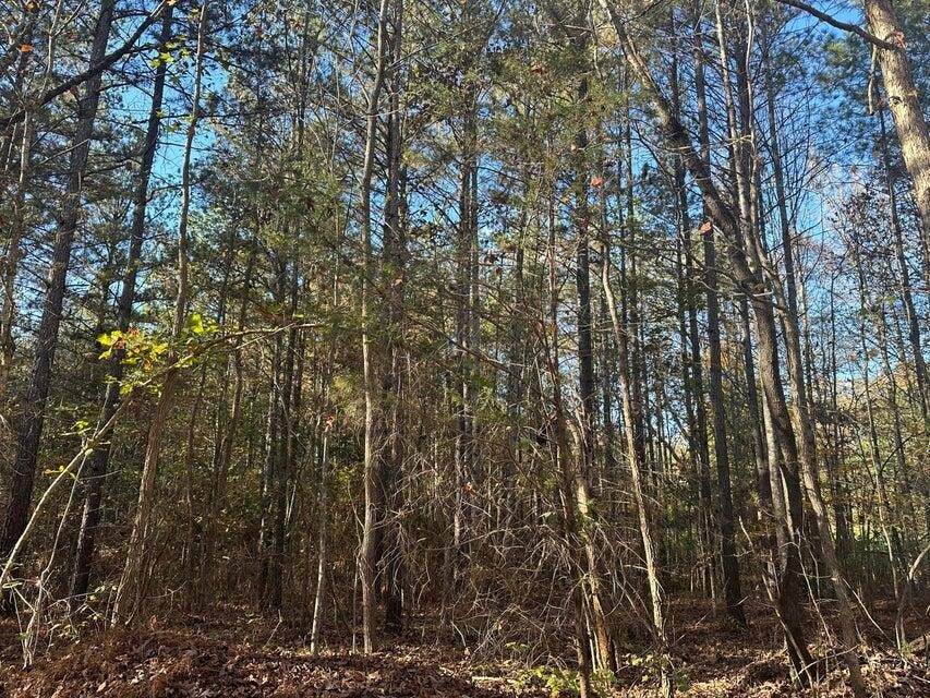 https://bt-photos.global.ssl.fastly.net/nashville/orig_boomver_1_RTC3223362-1.jpg
