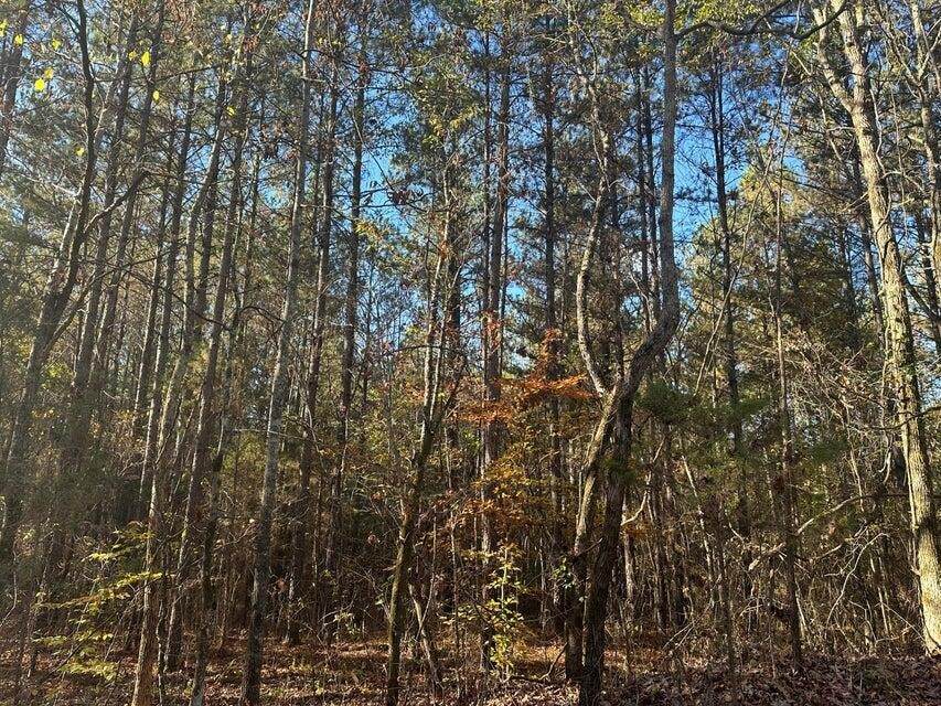 https://bt-photos.global.ssl.fastly.net/nashville/orig_boomver_1_RTC3223362-1.jpg