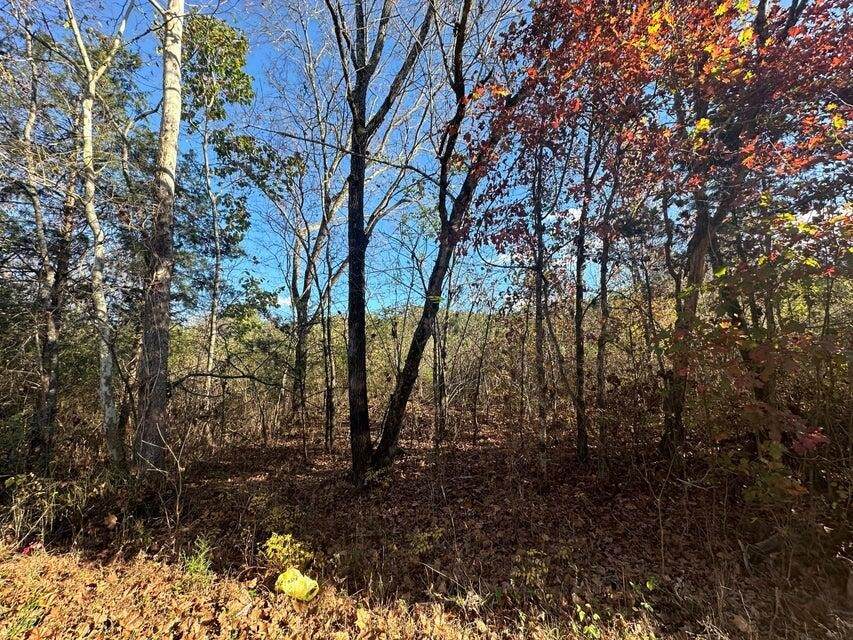 https://bt-photos.global.ssl.fastly.net/nashville/orig_boomver_1_RTC3223380-1.jpg