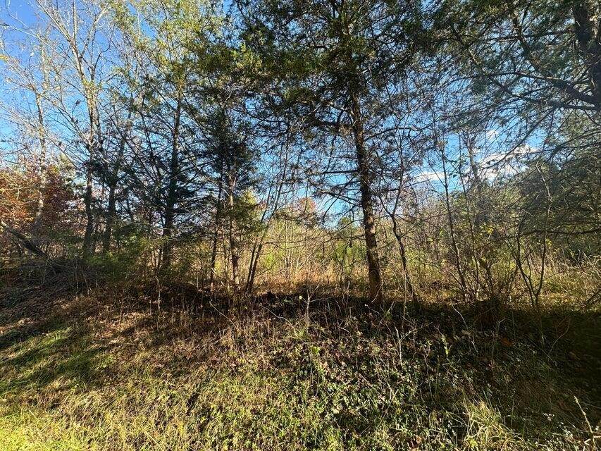 https://bt-photos.global.ssl.fastly.net/nashville/orig_boomver_1_RTC3223380-1.jpg