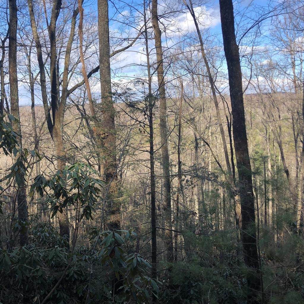 450 Holder Cemetery Road - Photo 1